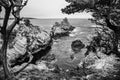 Cyprus Cove Trail at Point Lobos, big sur coast in California Royalty Free Stock Photo