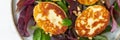 Cyprus fried halloumi with salad mix, beet tops. Lchf, pegan, fodmap, paleo, scd, keto, ketogenic diet. Balanced food, clean Royalty Free Stock Photo