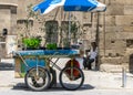 CYPRUS - June 10, 2019: A small flower shop on wheels on a city street. Elderly man selling flowers Royalty Free Stock Photo