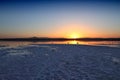 Larnaca salt lake Royalty Free Stock Photo