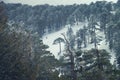 Skiing snowy tops in the mediterranean Royalty Free Stock Photo