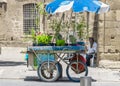 CYPRUS, NICOSIA - JUNE 10, 2019: A small flower shop on wheels on a city street. Elderly person selling flowers sitting next to