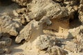 Cyprus Sand Stoun Royalty Free Stock Photo