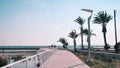 Cyprus seashore, blue sky and waves and palms