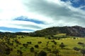 Green landscape with meadows trees and hills in Cyprus at springtime Royalty Free Stock Photo