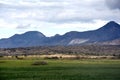 Green landscape with meadows trees and hills in Cyprus at springtime Royalty Free Stock Photo