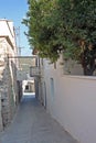 Cyprus Typical street of Omodos village