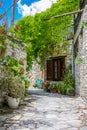 Cyprus village Lefkara. View of a village stony street with lot of green and colorful walls