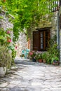 Cyprus village Lefkara. View of a village stony street with lot of green and colorful walls