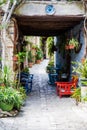 Cyprus village Lefkara. View of a village stony street with lots of green and flower pots. There several colorful chairs on the