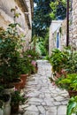 Cyprus village Lefkara. View of a village stony tiled street with lot of green and colorful walls