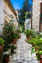 Cyprus village Lefkara. View of a village stony tiled street with lot of green and colorful walls