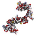 Cystatin C (V57D mutant). Protein used as biomarker of kidney function. 3D rendering based on protein data bank entry 3sva Royalty Free Stock Photo