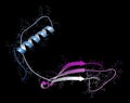 Cystatin C (V57D mutant). Protein used as biomarker of kidney function. 3D rendering based on protein data bank entry 3sva Royalty Free Stock Photo