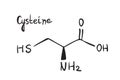 Cysteine Chemistry Molecule Formula Hand Drawn Imitation Royalty Free Stock Photo