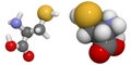 Cysteine (Cys, C) molecule Royalty Free Stock Photo