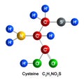 Cysteine Royalty Free Stock Photo