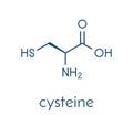 Cysteine l-cysteine, Cys, C amino acid molecule. Skeletal formula. Royalty Free Stock Photo