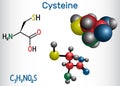 Cysteine L-cysteine, Cys, C proteinogenic amino acid molecule. Structural chemical formula and molecule model Royalty Free Stock Photo