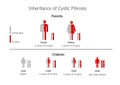 Cystic Fibrosis (mucoviscidosis) - inheritance