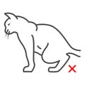 Cystitis in cat thin line icon, Diseases of pets concept, cat urolithiasis sign on white background, inflammation of