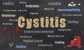 Cystitis illustration Royalty Free Stock Photo