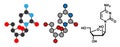 Cytarabine (cytosine arabinoside, Ara-C) chemotherapy drug molecule. Used in treatment of acute myeloid leukemia (AML), acute