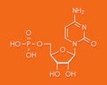 Cytidine monophosphate CMP, cytidylate RNA building block molecule. Skeletal formula.