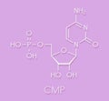 Cytidine monophosphate CMP, cytidylate RNA building block molecule. Skeletal formula.