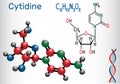 Cytidine - pyrimidine nucleoside molecule, is important part of