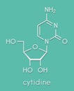 Cytidine RNA building block molecule. Skeletal formula.