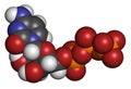 Cytidine triphosphate (CTP) RNA building block molecule. Also functions as cofactor to some enzymes. Atoms are represented as