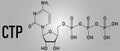 Cytidine triphosphate or CTP RNA building block molecule. Also functions as cofactor to some enzymes. Skeletal formula.