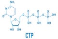 Cytidine triphosphate or CTP RNA building block molecule. Also functions as cofactor to some enzymes. Skeletal formula.