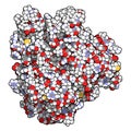 Cytochrome P450 CYP2D6 liver enzyme in complex with the drug quinine. Atoms are shown as spheres with conventional color coding. Royalty Free Stock Photo