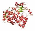 Cytochrome P450 (CYP3A4) liver enzyme in complex with the antibiotic erythromycin. Cartoon representation with secondary structure