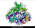 Cytochrome P450 molecule. CYP 3A4 is the most promiscuous of the human CYP enzymes. Molecular model. 3D rendering Royalty Free Stock Photo