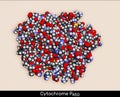 Cytochrome P450 molecule. CYP 3A4 is the most promiscuous of the human CYP enzymes. Molecular model. 3D rendering