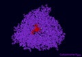 Cytochrome P450 molecule. CYP 3A4 is the most promiscuous of the human CYP enzymes. Molecular model. 3D rendering Royalty Free Stock Photo