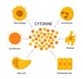 Cytokine structure vector concept