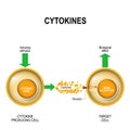 Cytokines Royalty Free Stock Photo