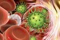 Cytomegalovirus in blood