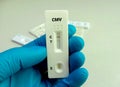 Cytomegalovirus (CMV) rapid screening test