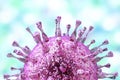 Cytomegalovirus, DNA virus from Herpesviridae family