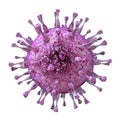 Cytomegalovirus, DNA virus from herpesviridae family