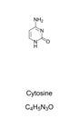 Cytosine, C, Cyt, nucleobase, chemical formula and skeletal structure Royalty Free Stock Photo