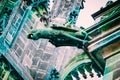 Czech architecture, scary cat gargoyle sculpture, gothic temple