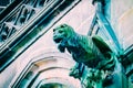 Czech architecture, scary lion gargoyle sculpture, gothic temple Royalty Free Stock Photo