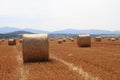 Czech autumn field