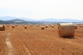 Czech autumn field